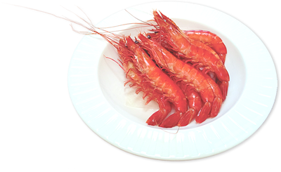 プラチナタイガー